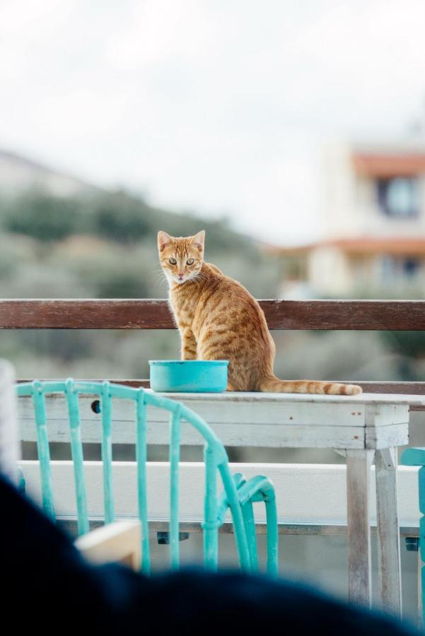 Saveriako, Paradise For Relaxed Free Spirits Villa Agia Pelagia  Bagian luar foto