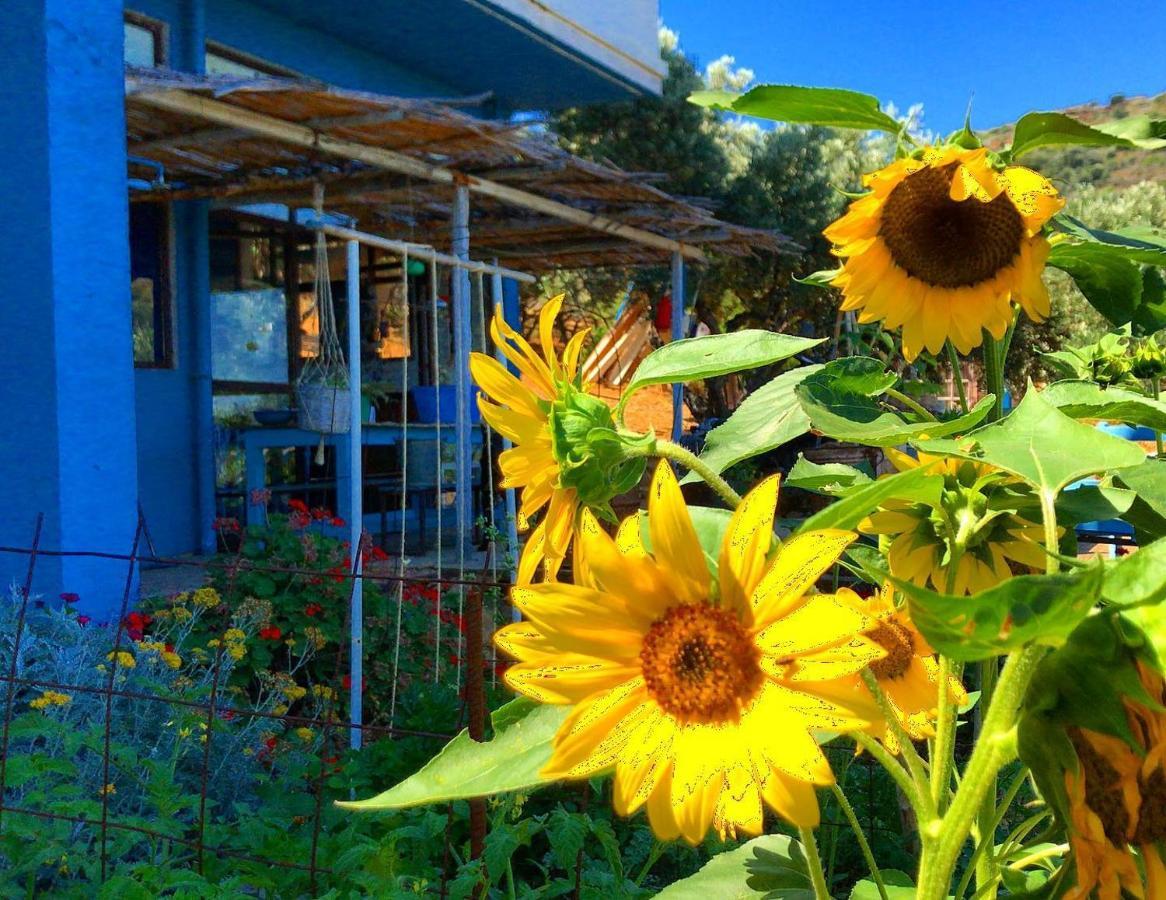 Saveriako, Paradise For Relaxed Free Spirits Villa Agia Pelagia  Bagian luar foto
