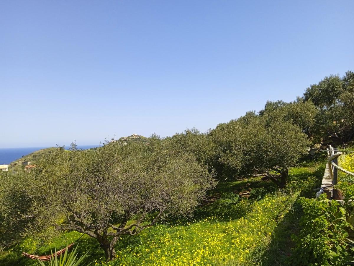 Saveriako, Paradise For Relaxed Free Spirits Villa Agia Pelagia  Bagian luar foto