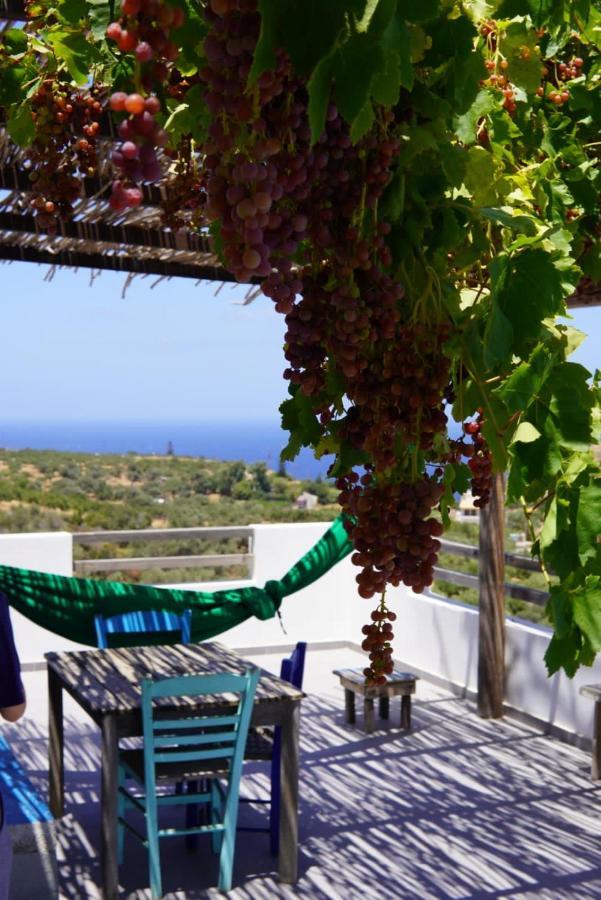 Saveriako, Paradise For Relaxed Free Spirits Villa Agia Pelagia  Bagian luar foto