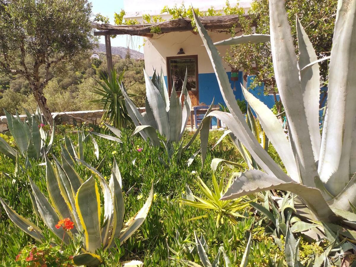 Saveriako, Paradise For Relaxed Free Spirits Villa Agia Pelagia  Bagian luar foto